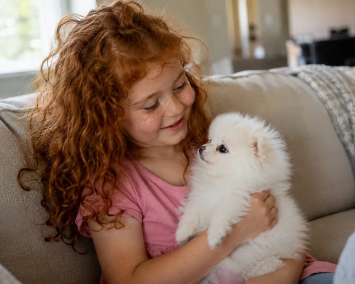Young girl holding a white Pomeranian puppy at Perfect Little Puppies in Pearland, TX